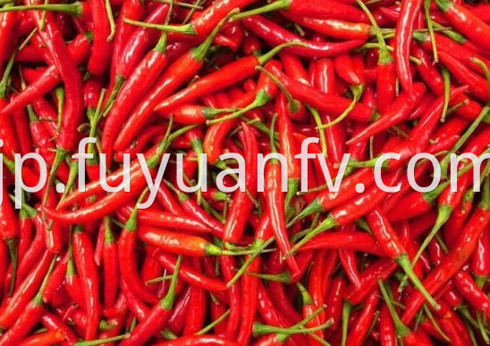 Chaotian Chili 3